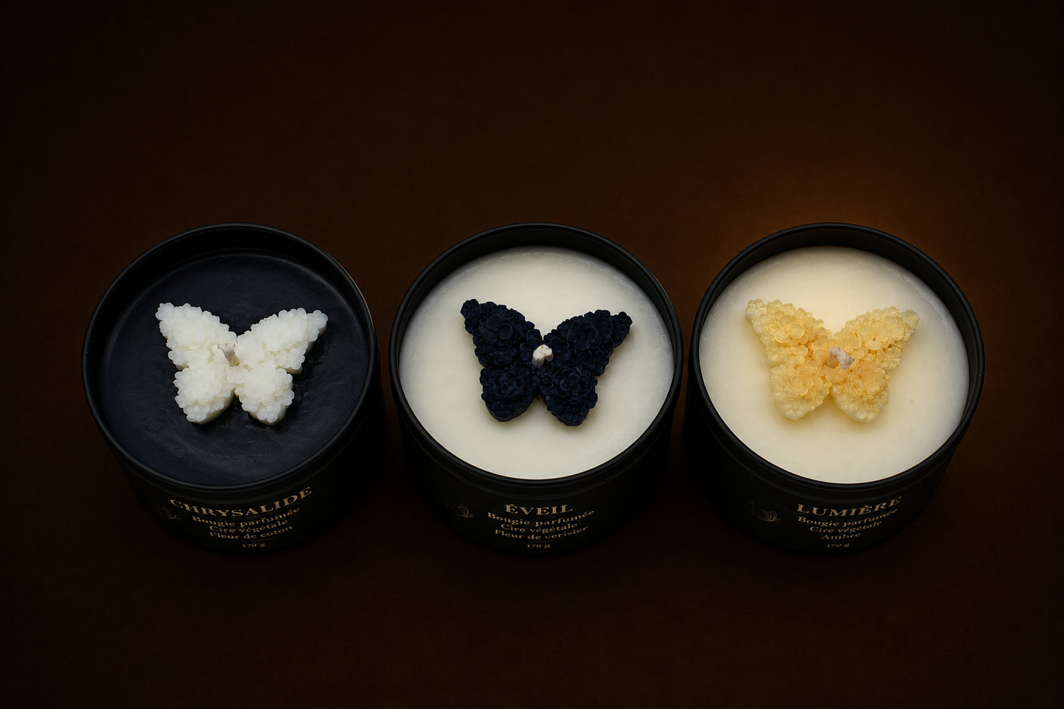 Collection Renaissance — Chrysalide, Éveil, Lumière — Le Temple des Secrets